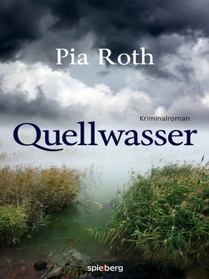 cover image of Quellwasser